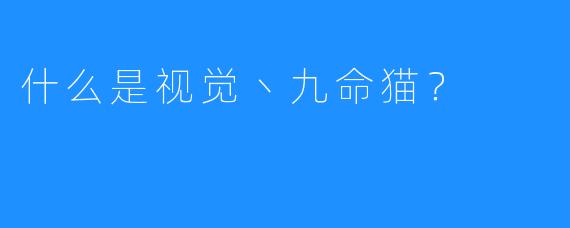 什么是视觉丶九命猫？