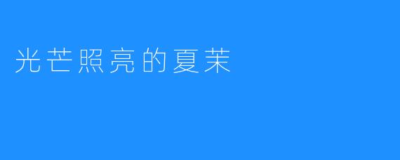 光芒照亮的夏茉