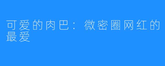 可爱的肉巴:微密圈网红的最爱