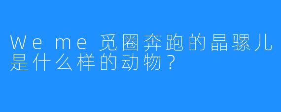 Weme觅圈奔跑的晶骡儿是什么样的动物？