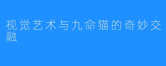 视觉艺术与九命猫的奇妙交融