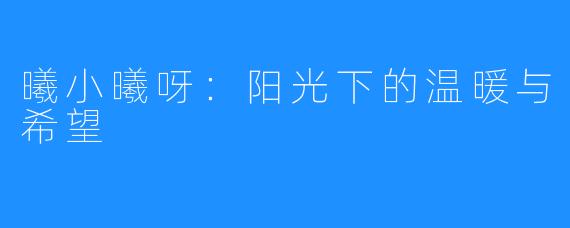 曦小曦呀:阳光下的温暖与希望