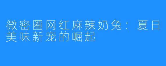 微密圈网红麻辣奶兔:夏日美味新宠的崛起