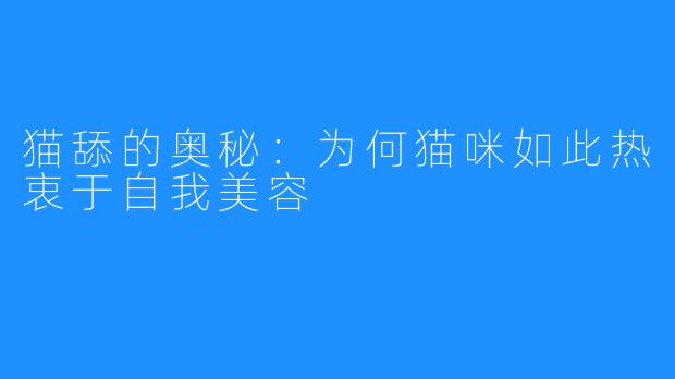 猫舔的奥秘:为何猫咪如此热衷于自我美容
