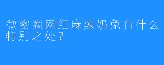 微密圈网红麻辣奶兔有什么特别之处？