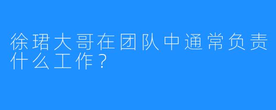 徐珺大哥在团队中通常负责什么工作？