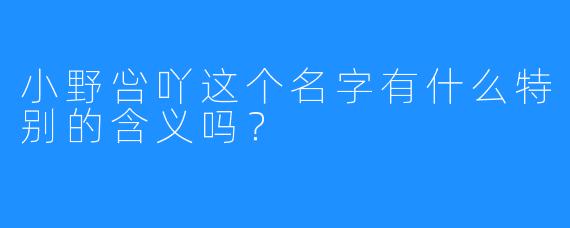 小野吢吖这个名字有什么特别的含义吗？
