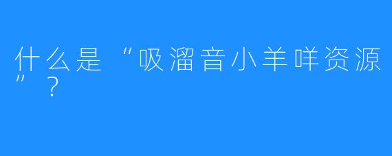 什么是“吸溜音小羊咩资源”？