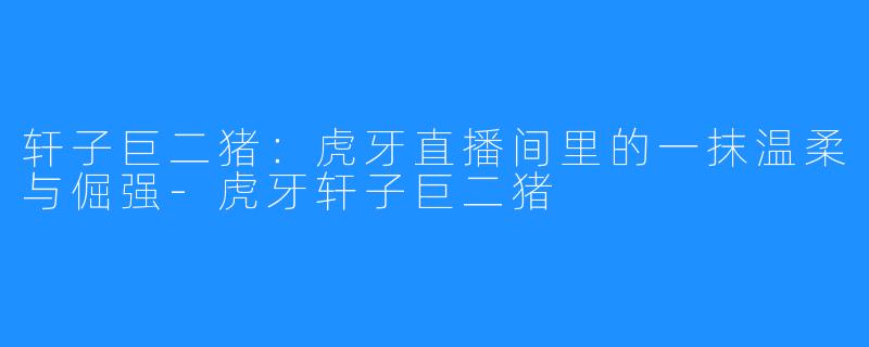 轩子巨二猪:虎牙直播间里的一抹温柔与倔强-虎牙轩子巨二猪