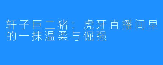 轩子巨二猪:虎牙直播间里的一抹温柔与倔强