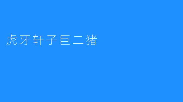 虎牙轩子巨二猪