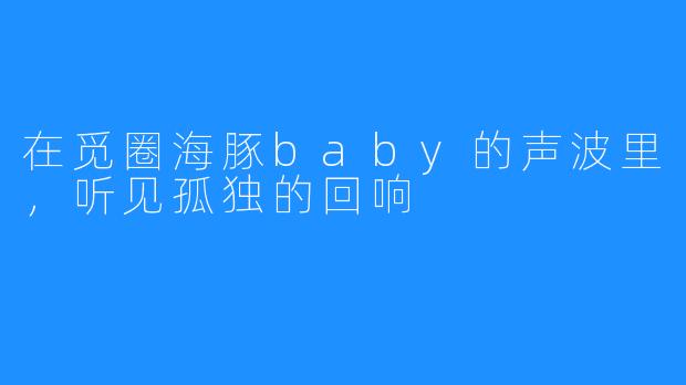 在觅圈海豚baby的声波里，听见孤独的回响