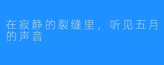 在寂静的裂缝里,听见五月的声音