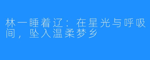 林一睡着辽:在星光与呼吸间,坠入温柔梦乡